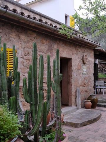 Hostal Catalina Vera Port D'Andratx Exterior photo